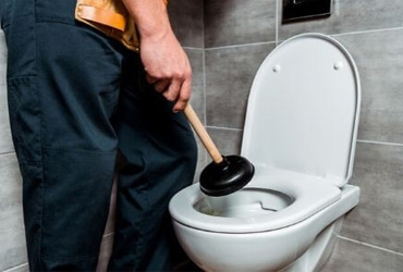 Toilet-line-cleaning